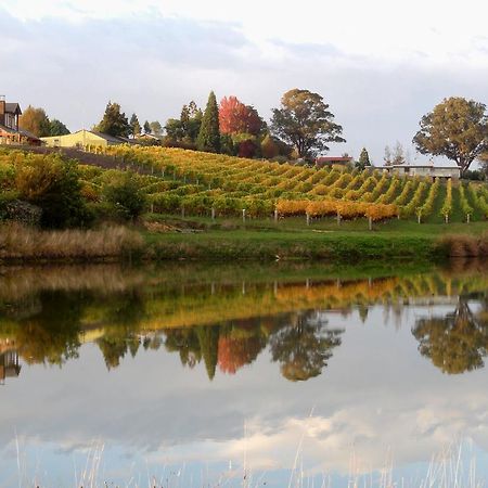Pine Hill Lodge In Vineyard Mapua 外观 照片