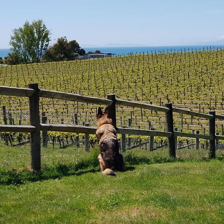 Pine Hill Lodge In Vineyard Mapua 外观 照片