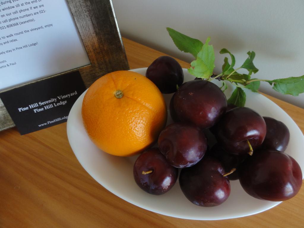 Pine Hill Lodge In Vineyard Mapua 外观 照片