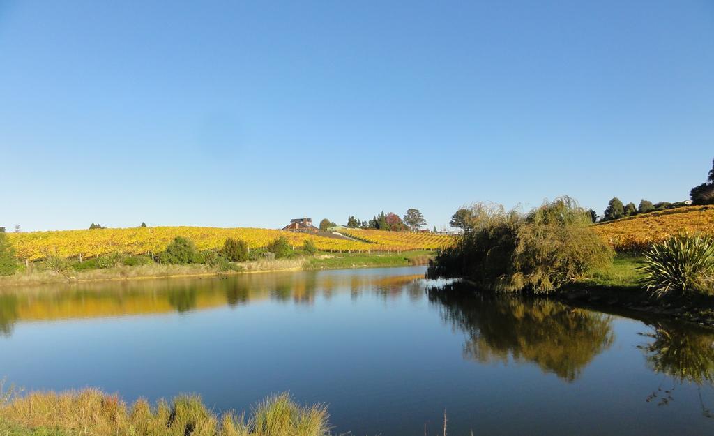 Pine Hill Lodge In Vineyard Mapua 外观 照片