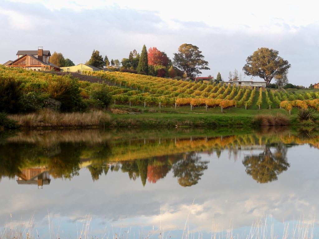 Pine Hill Lodge In Vineyard Mapua 外观 照片