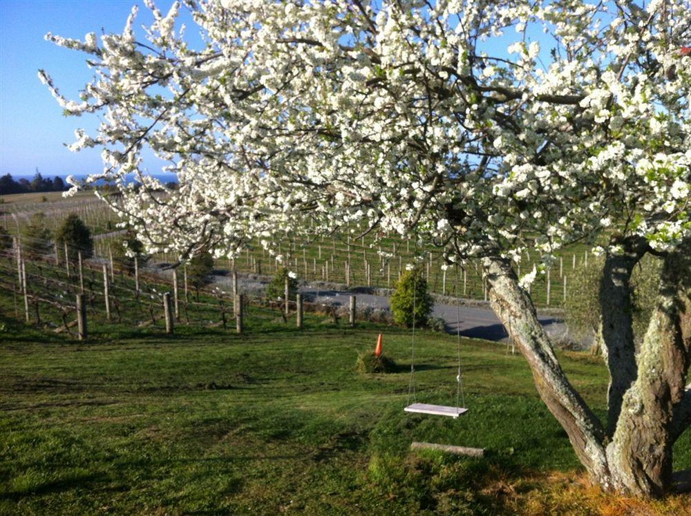 Pine Hill Lodge In Vineyard Mapua 外观 照片