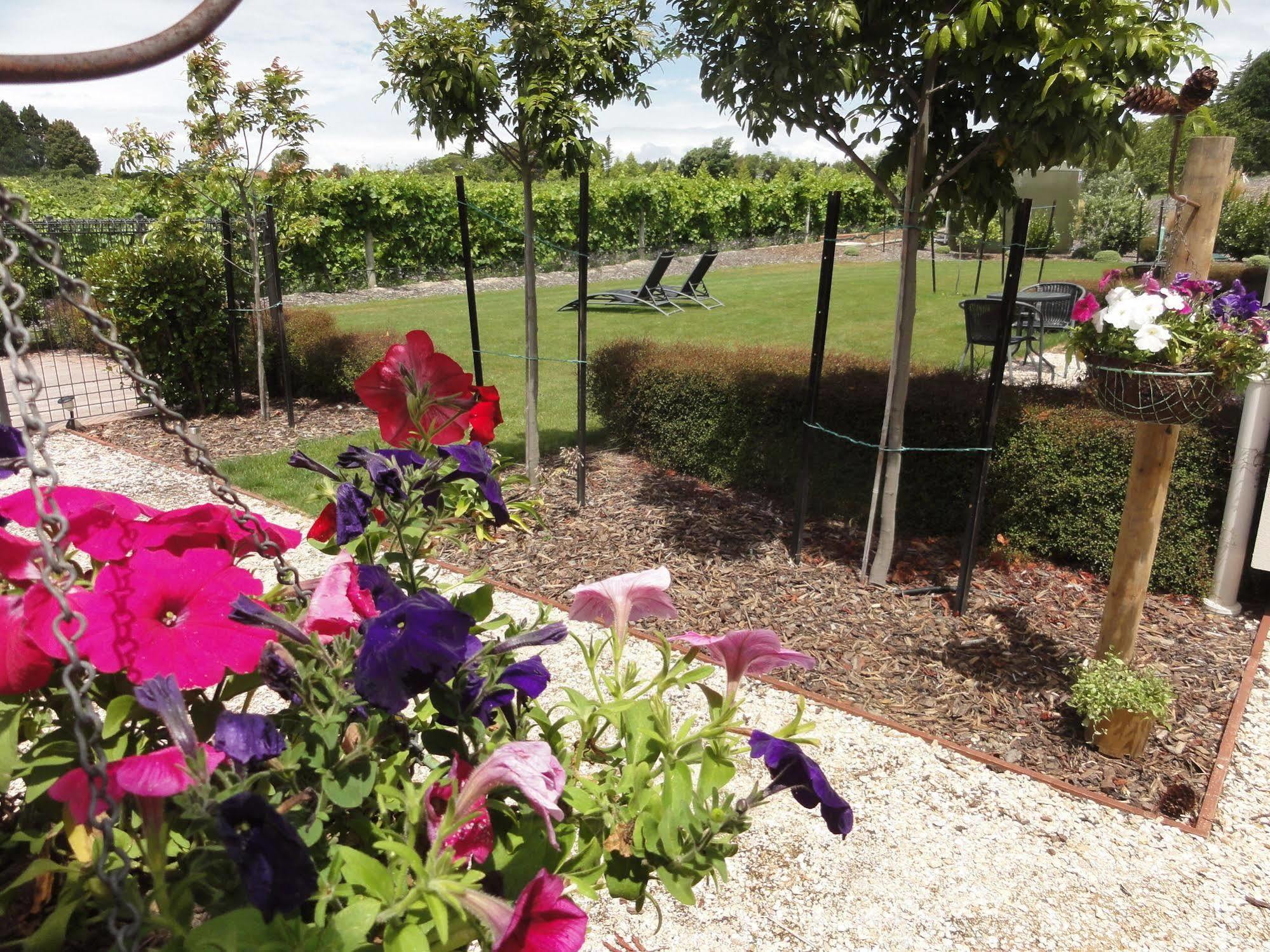 Pine Hill Lodge In Vineyard Mapua 外观 照片